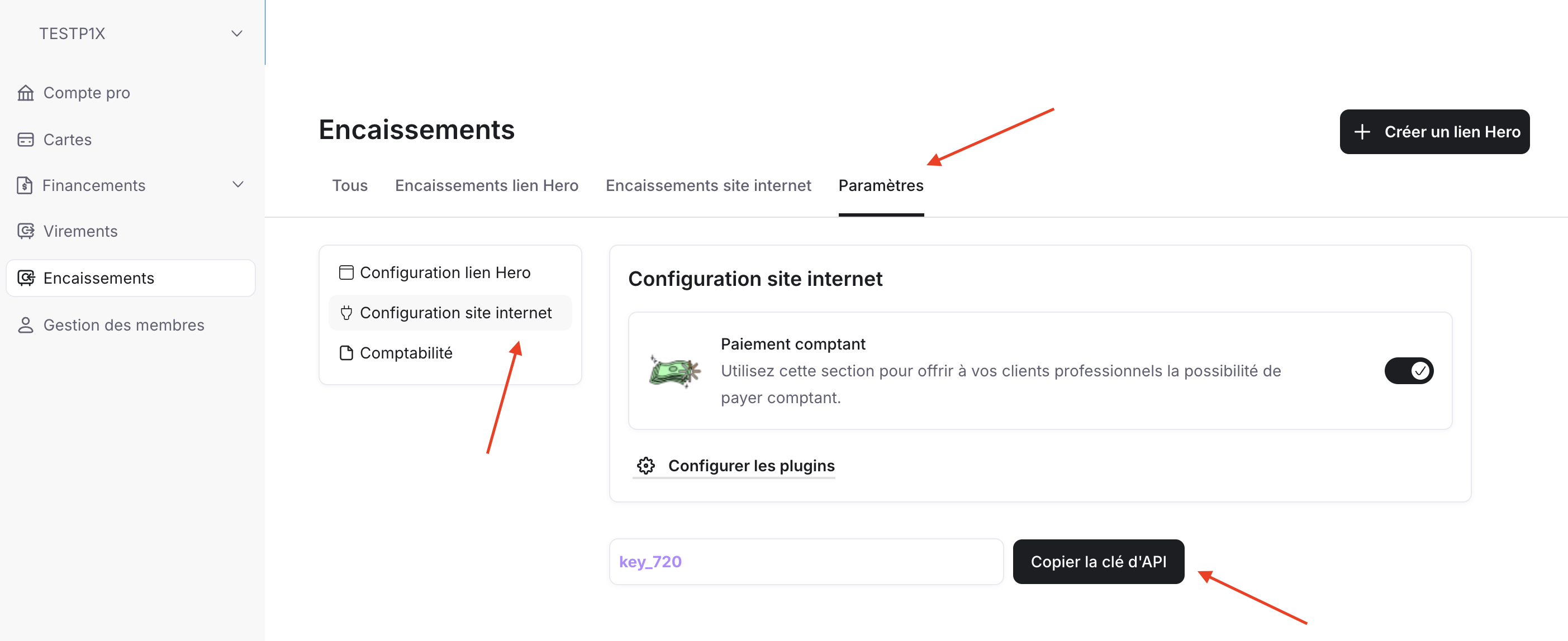 Copy API key