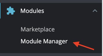 Module Manager