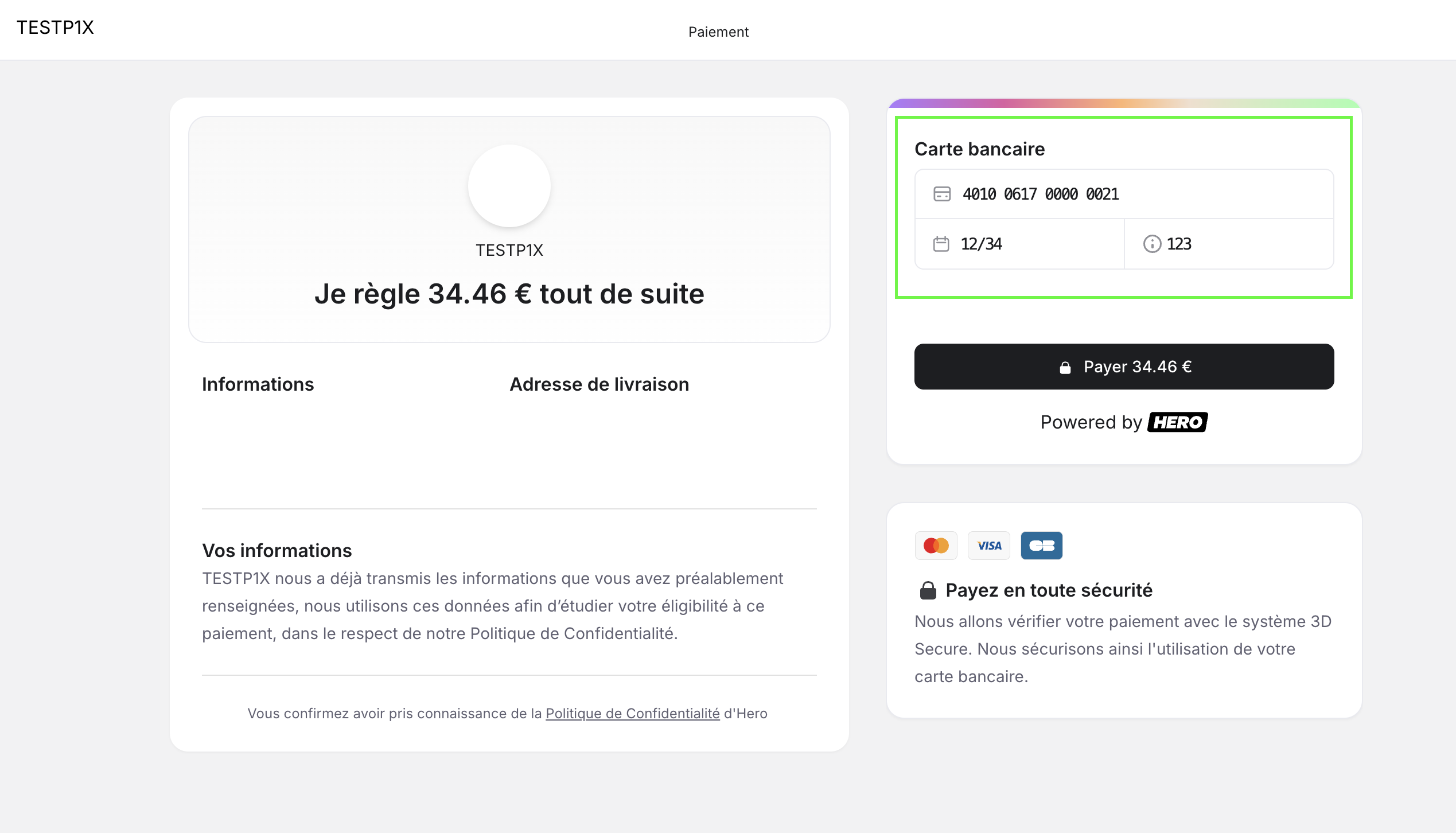 Test payment input