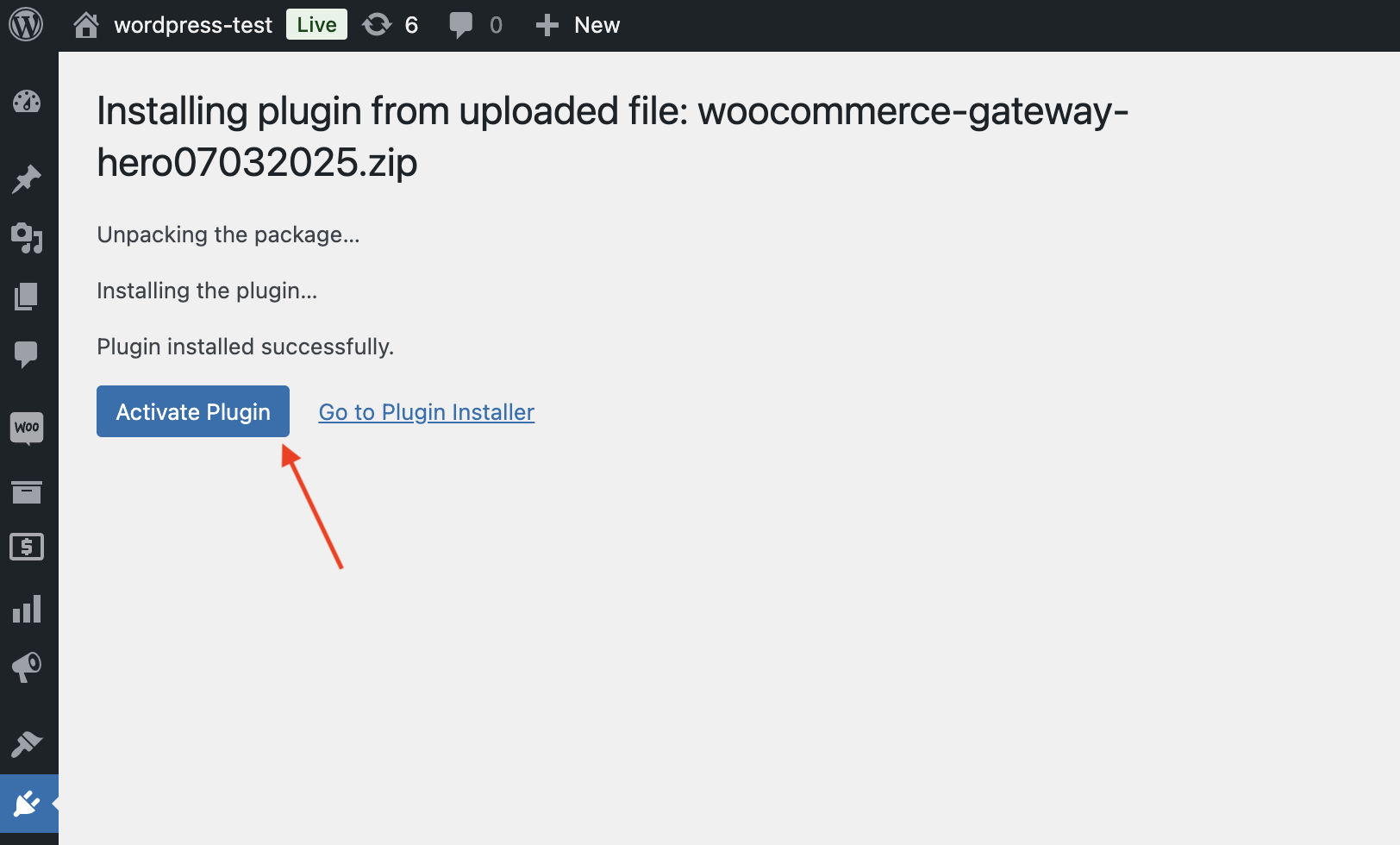 Activate Plugin button