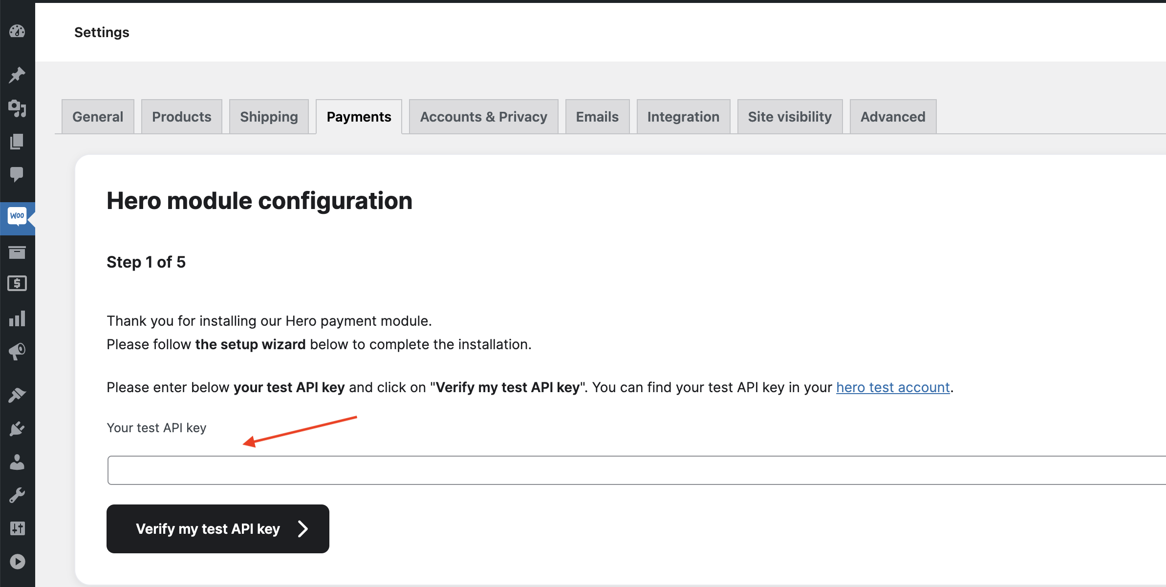 Test API Key field